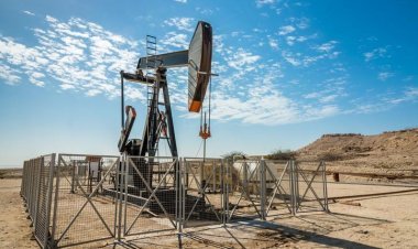 Crude oil hits six-month low, but losses continue on diesel sales