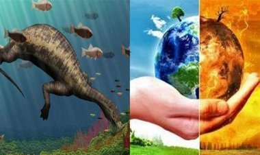 Climate Change: How Reptiles Rise in 60 Million Years of Global Warming: Harvard University Study Revealed