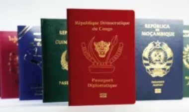 Albert Karaziwan And Semlex On The Congolese Passport Case